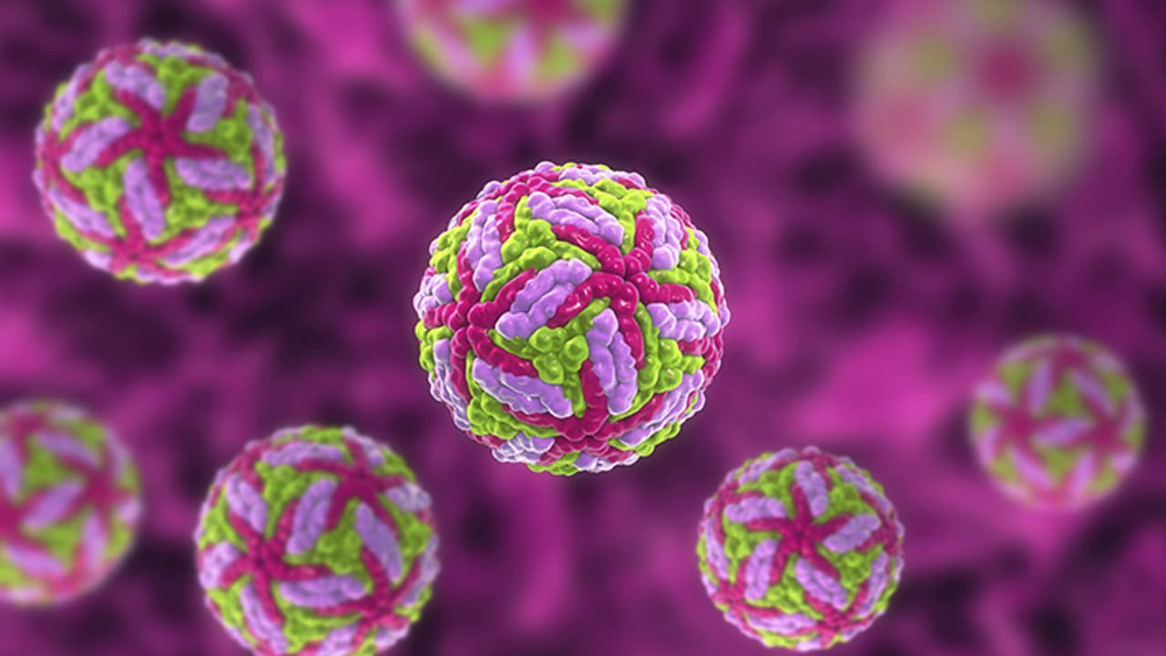 Human Metapneumovirus HMPV Symptoms & Treatment