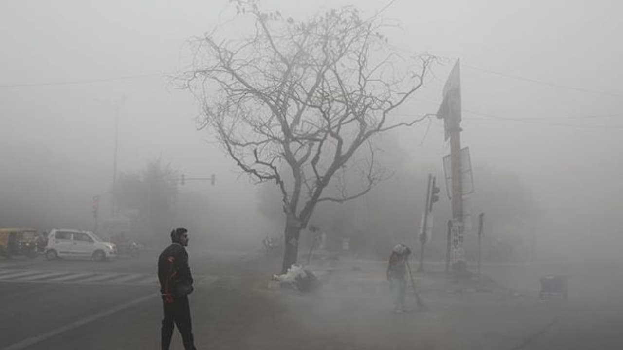 delhi winter delhi winter