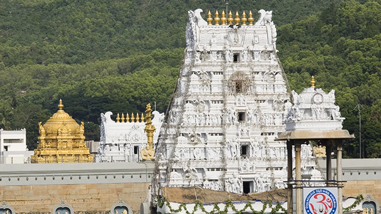 tirupati mandir hadsa tirupati mandir hadsa