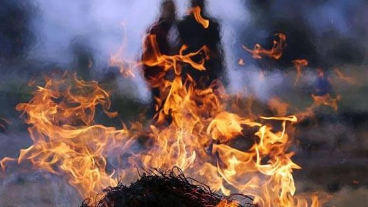 basti news basti news