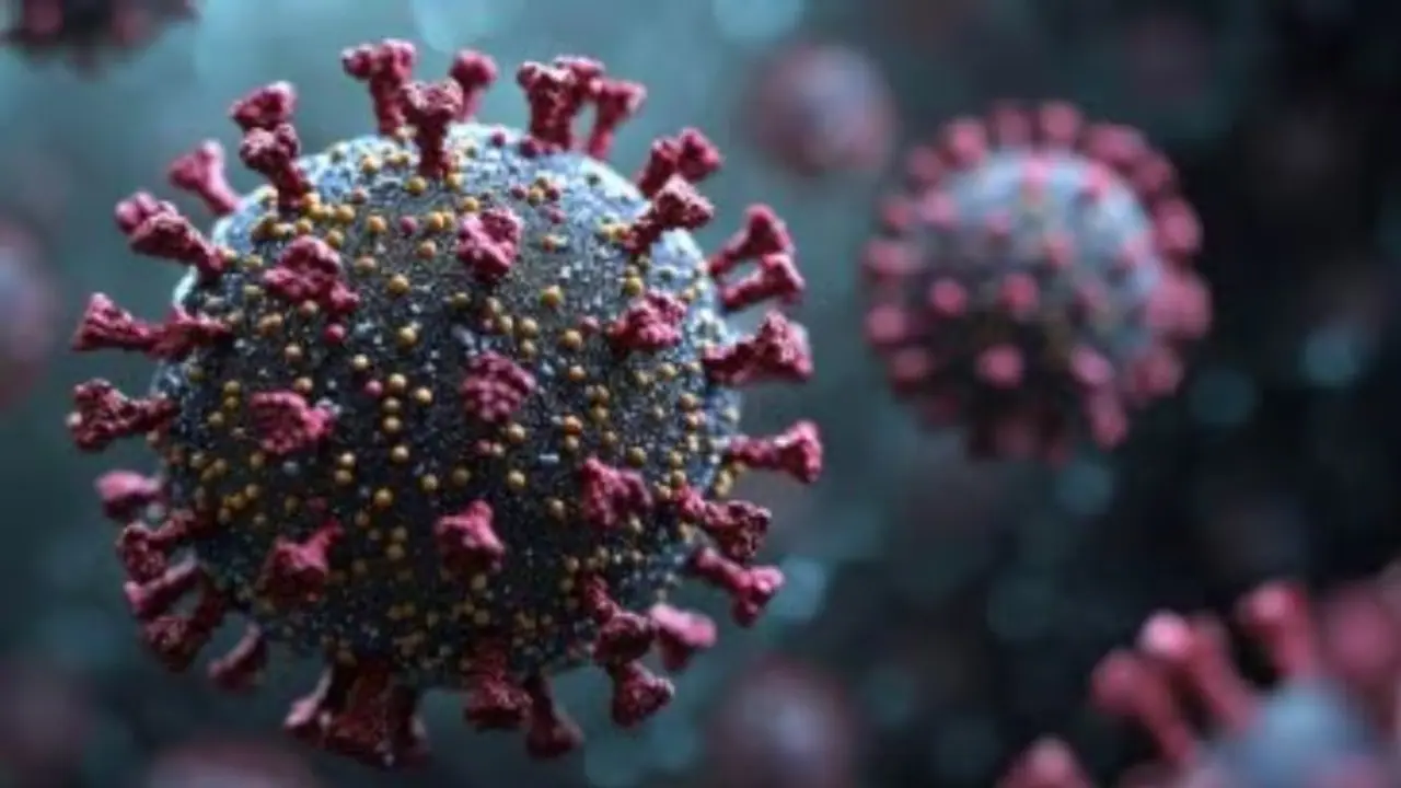 hmpv virus hmpv virus