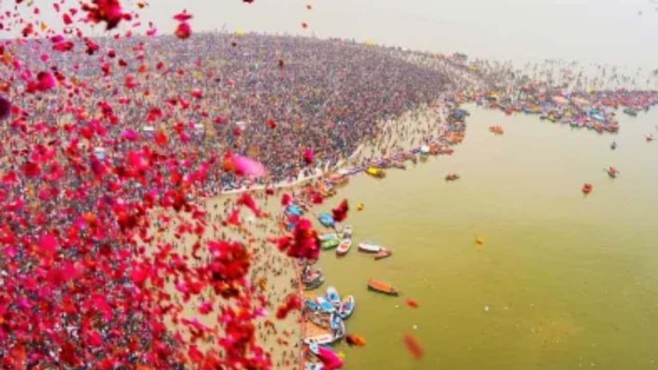 flower shower in up flower shower in up