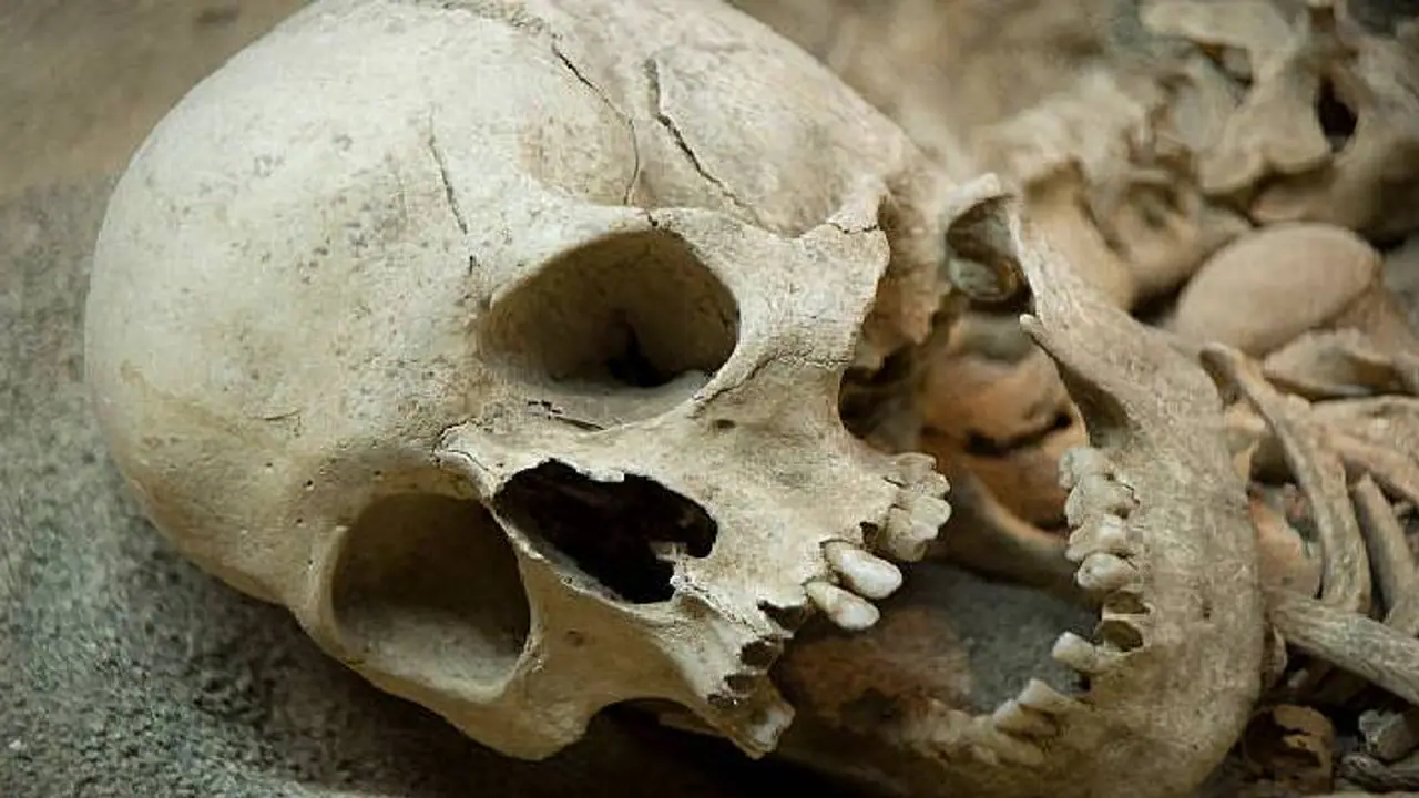 Skeleton of a 5 year old girl