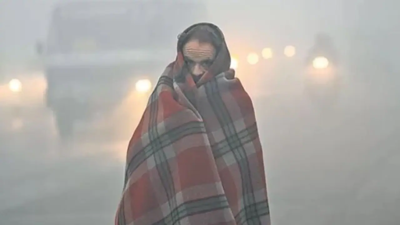 up weather news up weather news