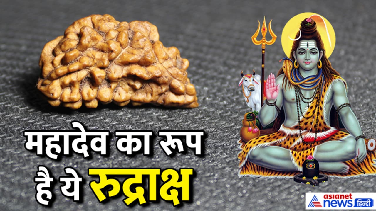 ek mukhi rudraksh ek mukhi rudraksh