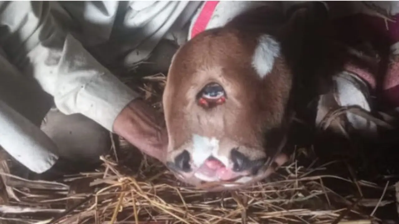 bijnor news bijnor news