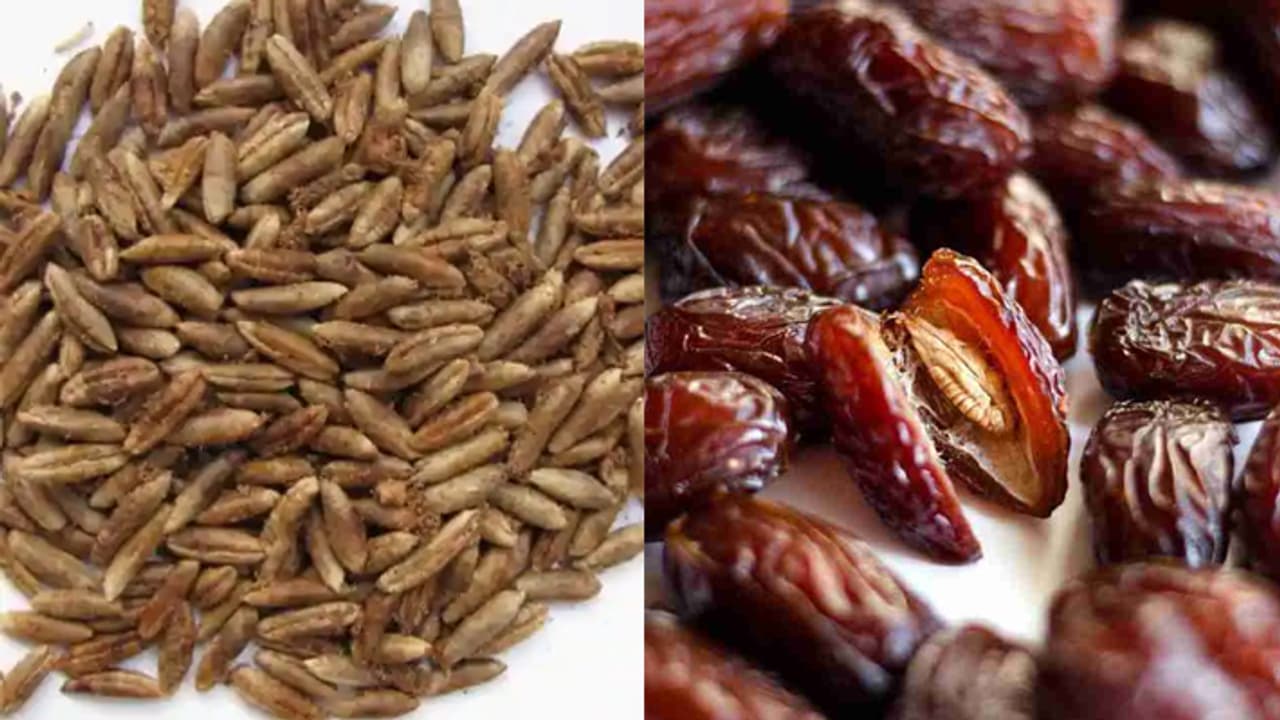 How to use dates seeds