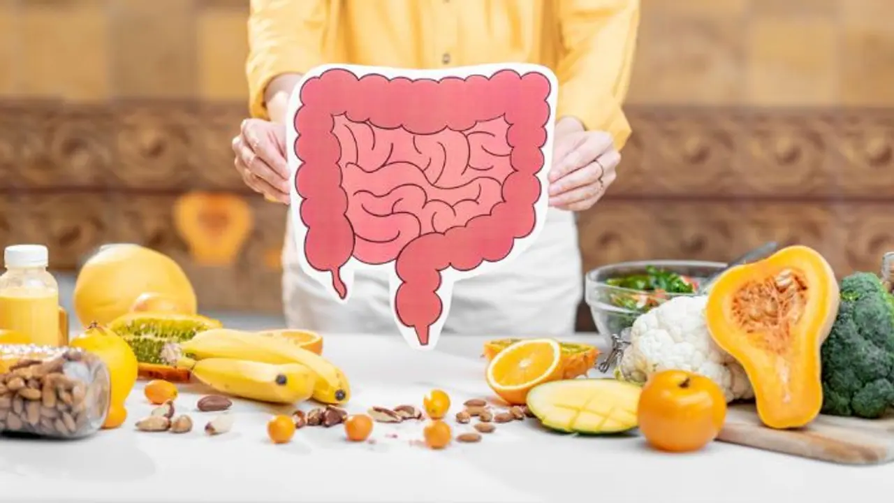 What food is entering the healthy gut What food is entering the healthy gut