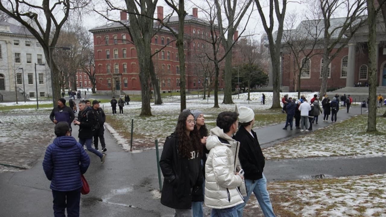 success stories of students who accepted by all eight ivy leagues