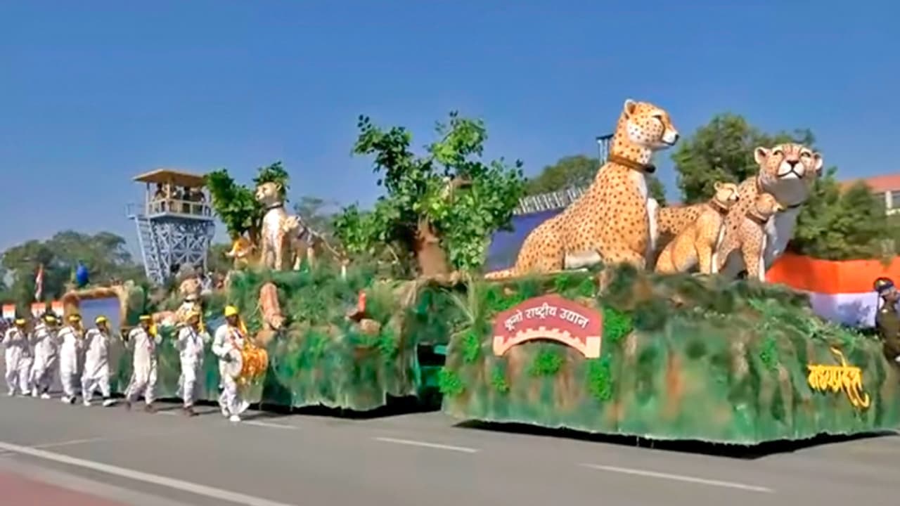 Republic Day 2025 Madhya Pradesh Tableau of Kuno National Park showing return of cheetah to India