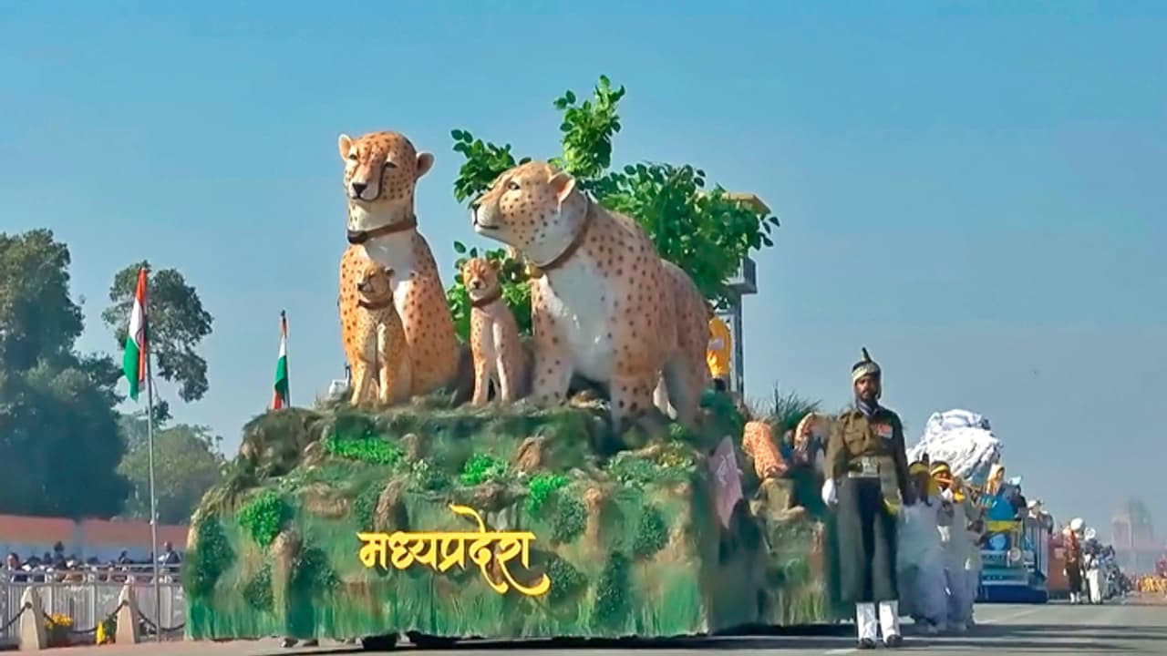 MP Tableau based on Kuno National Park cheetah theme at Republic Day 2025 MP Tableau based on Kuno National Park cheetah theme at Republic Day 2025