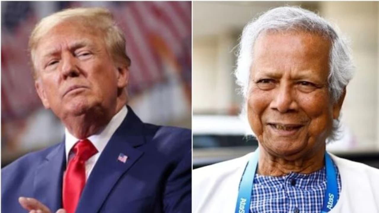 trump and yunus trump and yunus