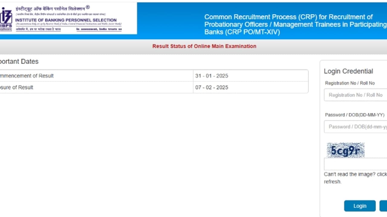 IBPS PO Result 2024 Direct Link to check