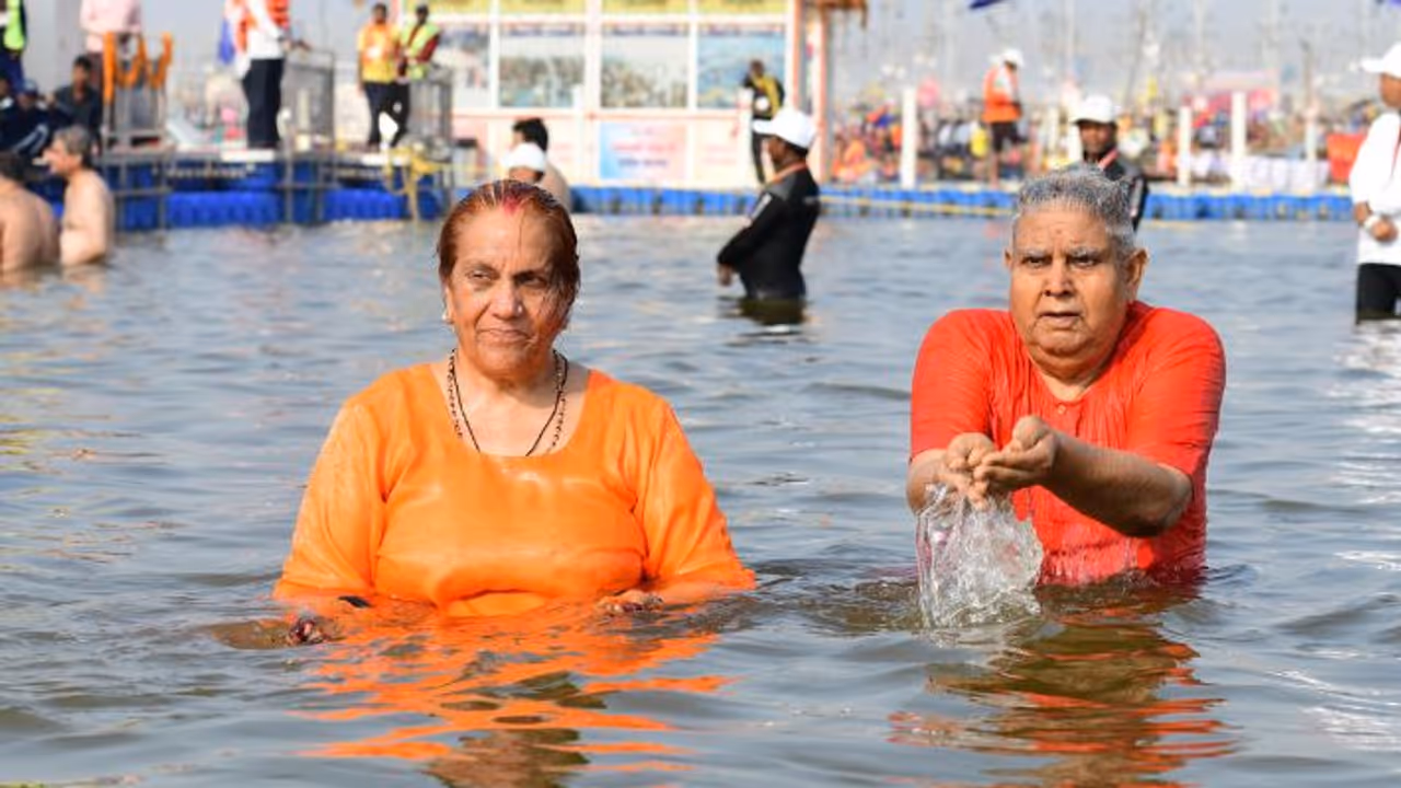 Vice President Vice President