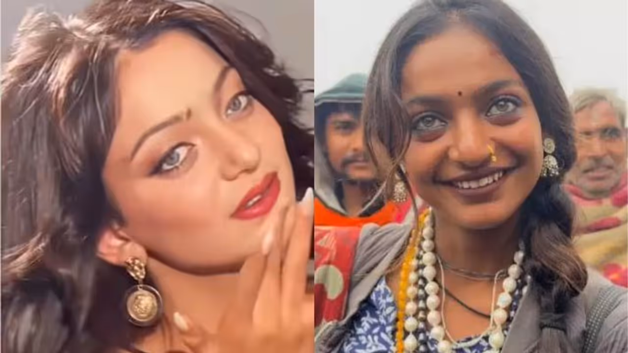 monalisa fees monalisa fees