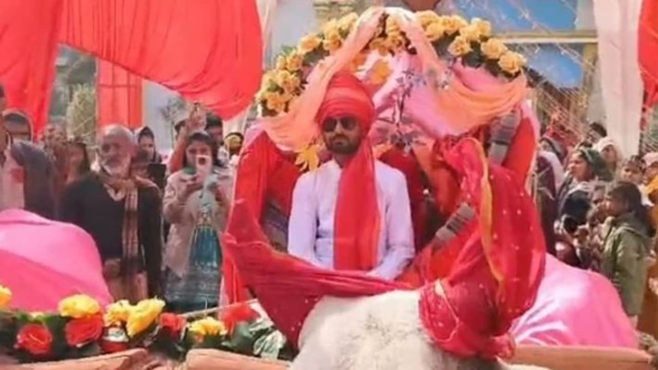 bullock cart bullock cart