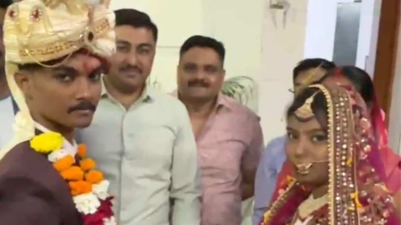 groom family groom family