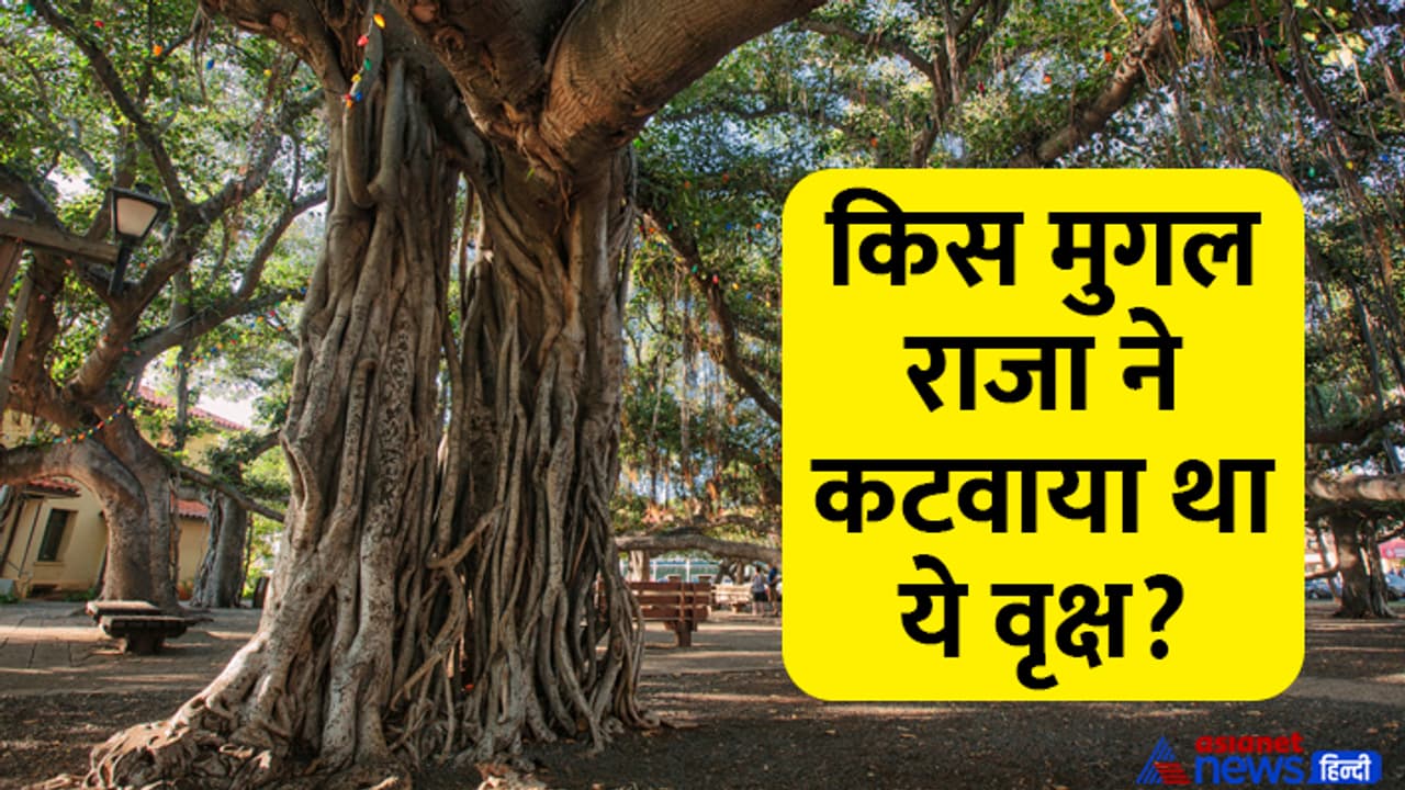 prayagraj akshayvat story