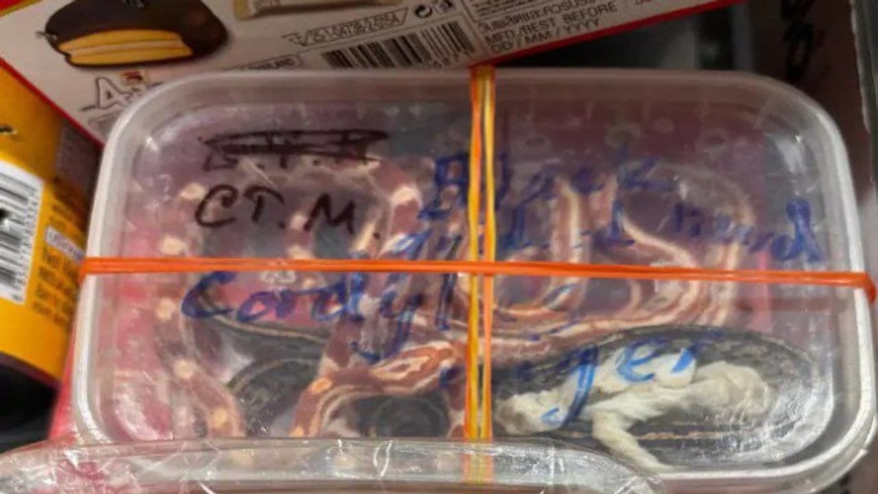 Jaipur Airport Jaipur Airport