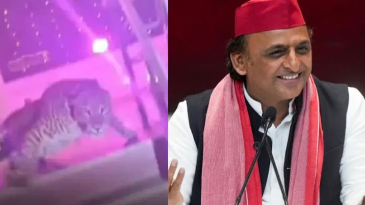 akhilesh yadav