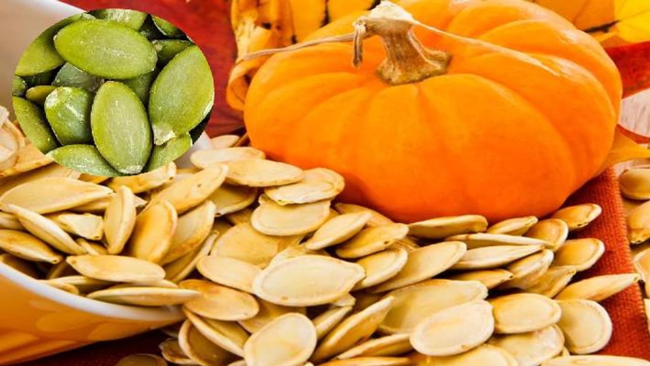pumpkin seeds benefits pumpkin seeds benefits