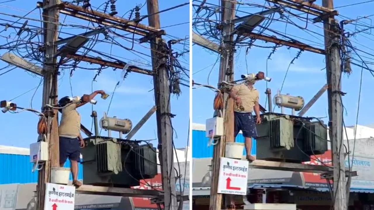 Madhya Pradesh Viral News