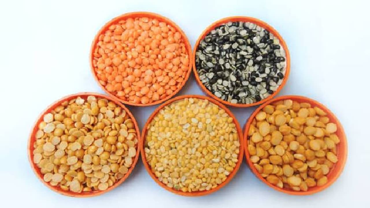 dal is the most beneficial dal is the most beneficial