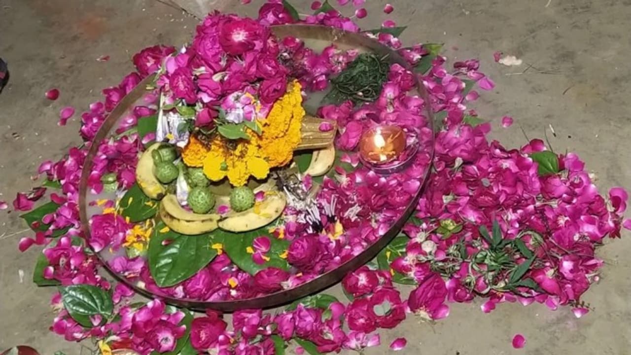 Rajasthan News Rajasthan News