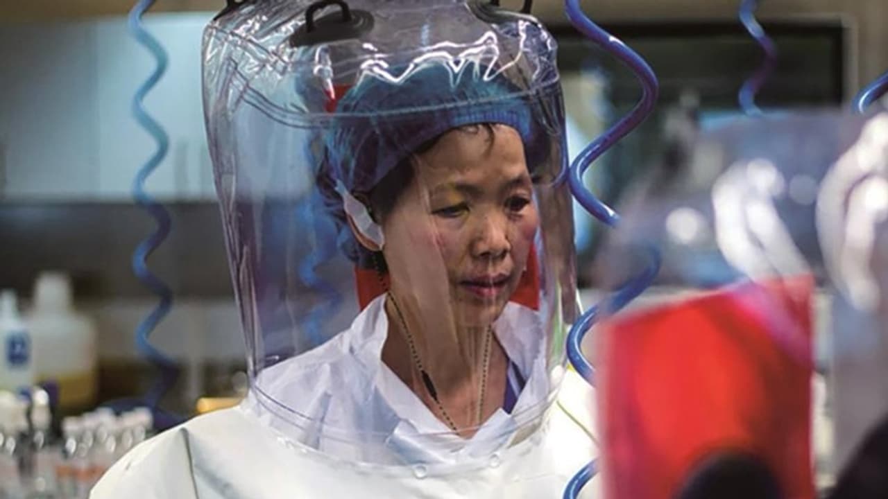 Shi Zhengli Shi Zhengli