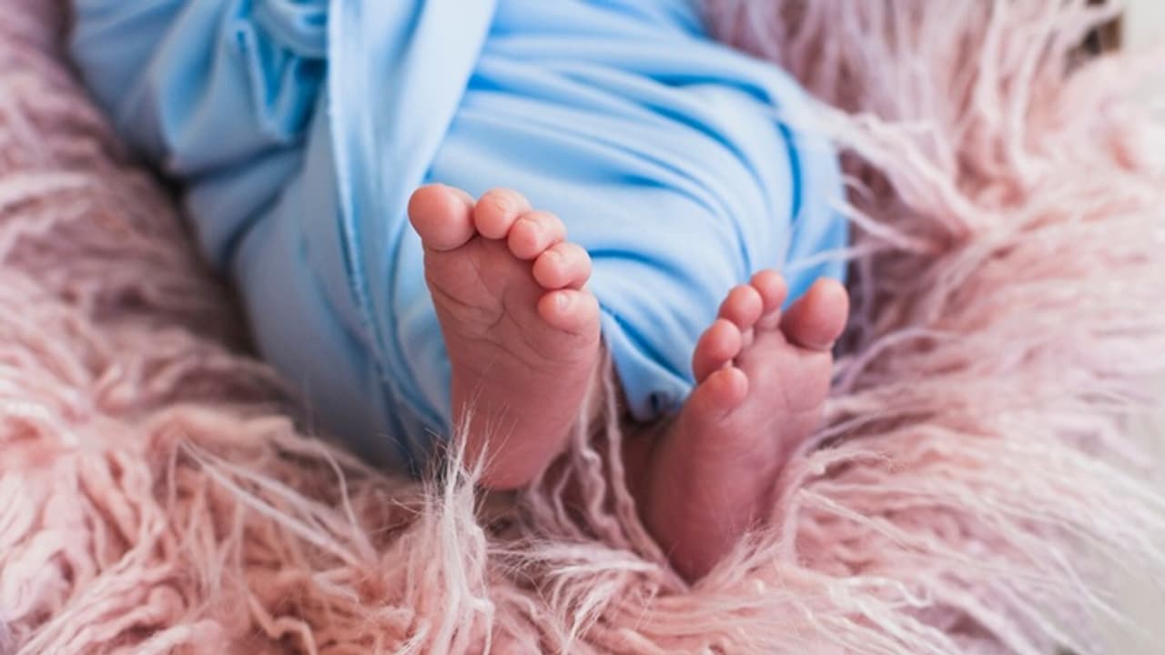 baby girl feet baby girl feet