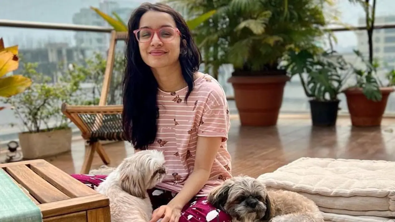 Shraddha Kapoor Networth