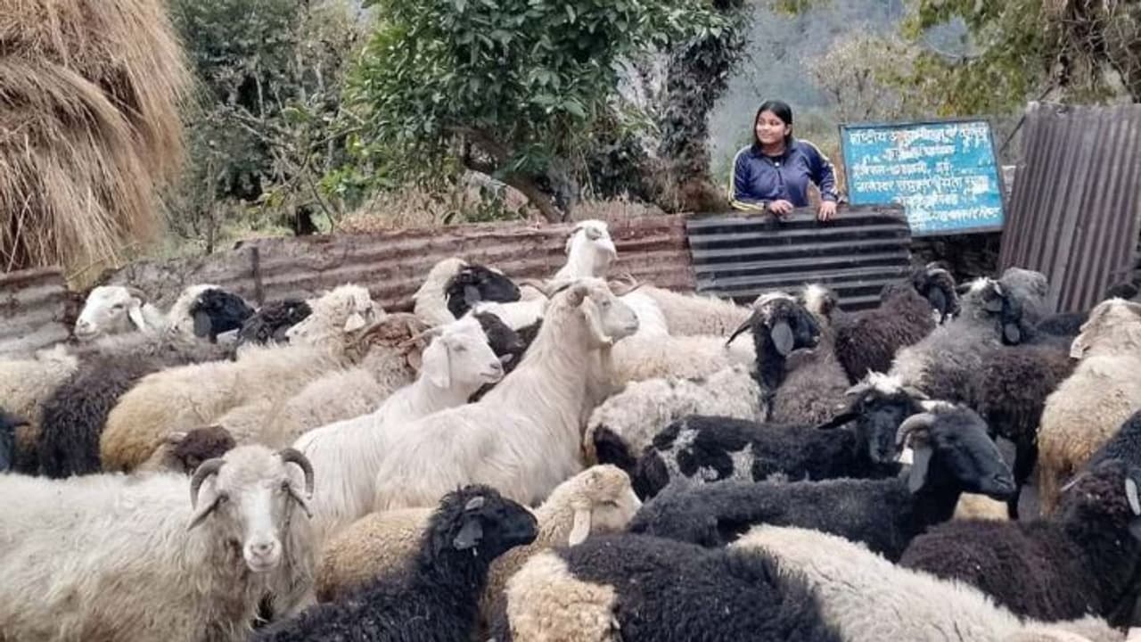 Chamoli