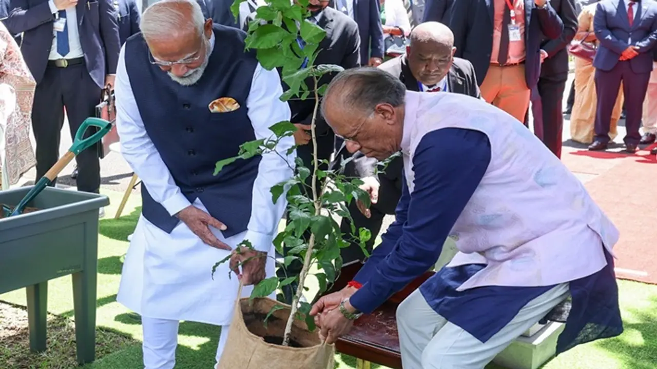Narendra Modi planted tree in Mauritius Narendra Modi planted tree in Mauritius