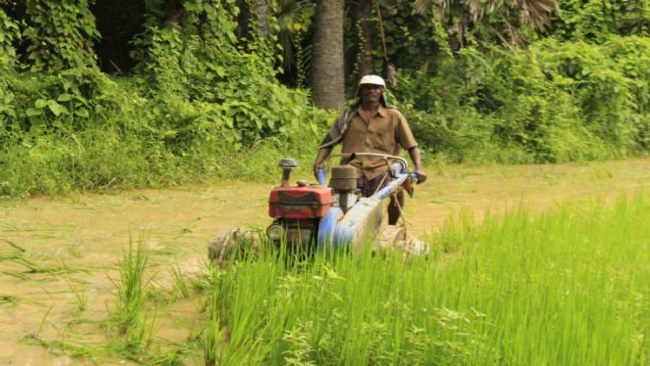 Farmers plowing fields
