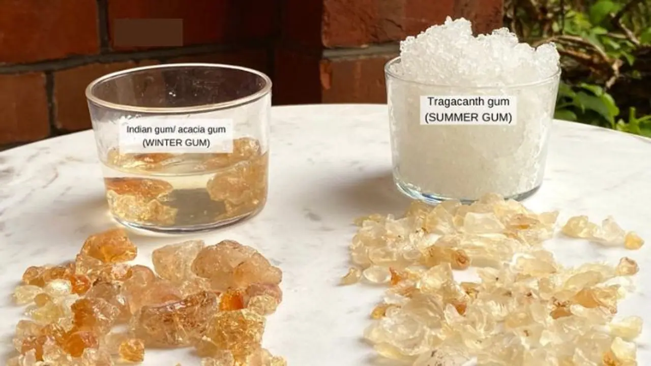 Difference between Gond and Gond Katira Difference between Gond and Gond Katira