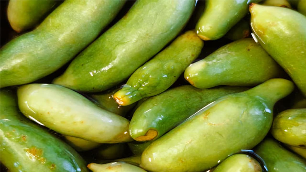 Ivy Gourd