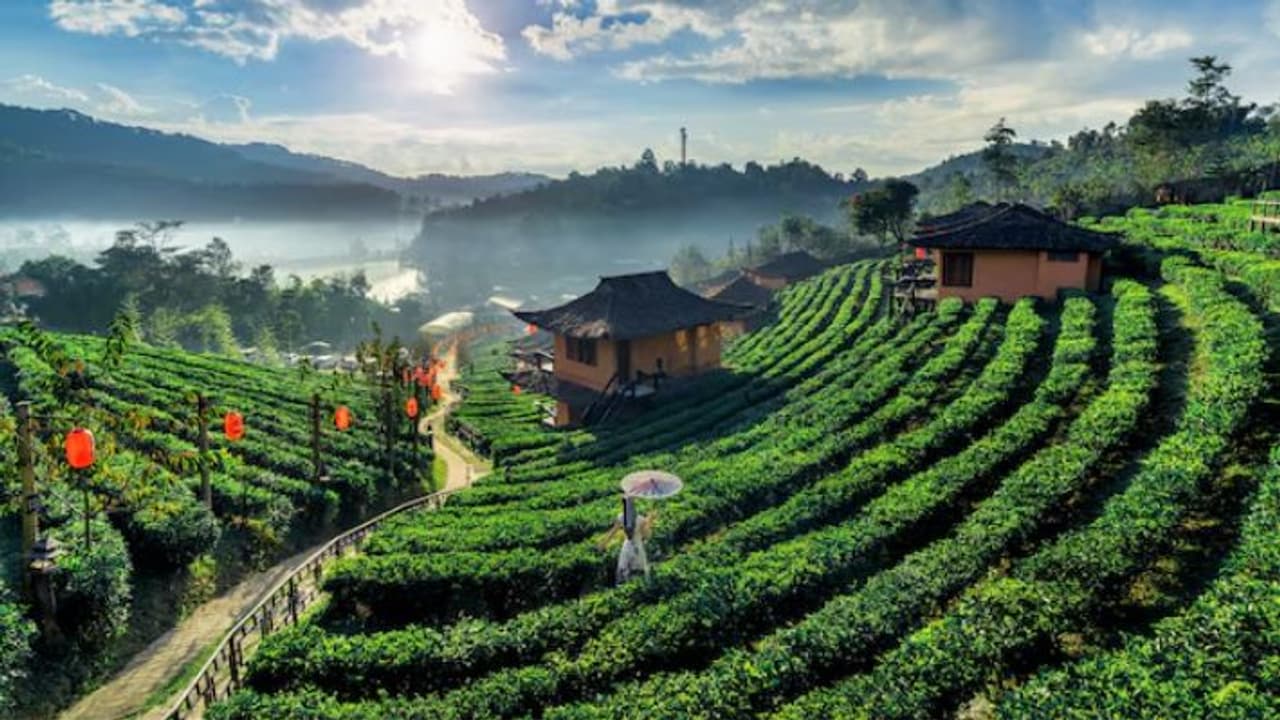 Kid friendly hill stations in Himachal