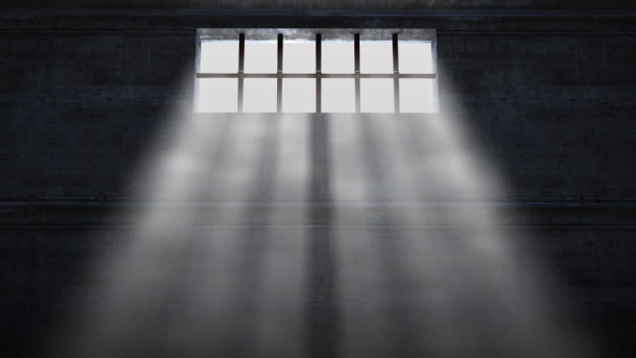 Vishal Gawli case Vishal Gawli case