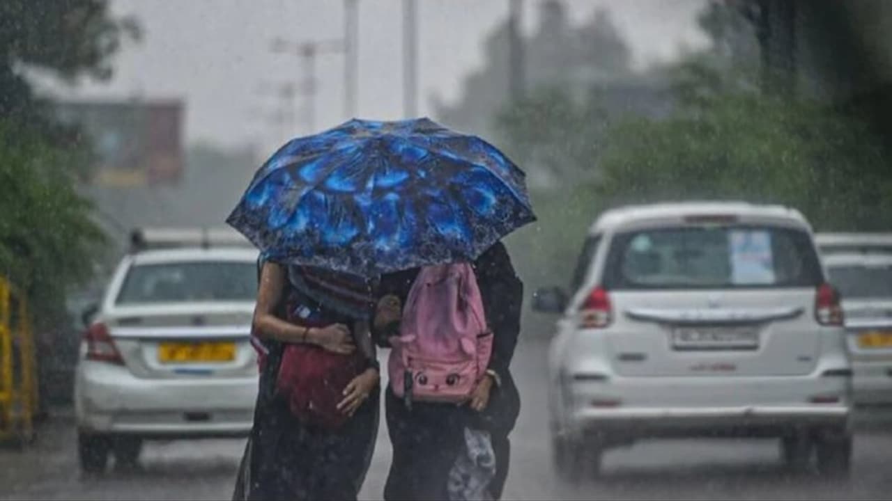 MP Weather Alert MP Weather Alert