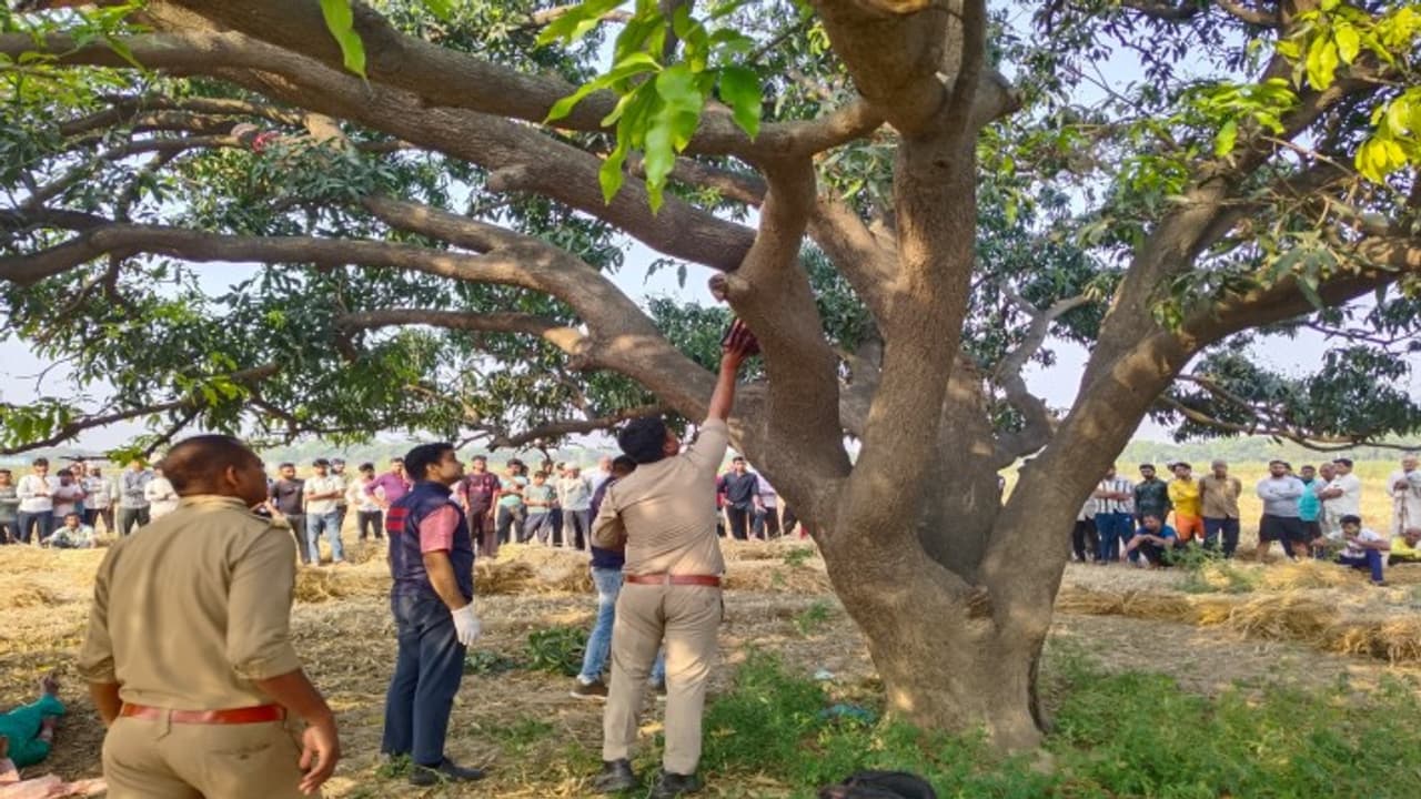 Bodies of missing brothers found hanging from a tree in Satna Bodies of missing brothers found hanging from a tree in Satna
