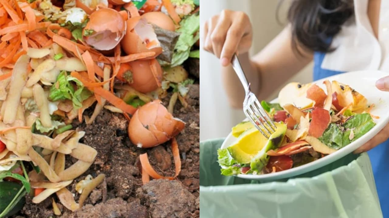 7 ways to reduce food waste at home 7 ways to reduce food waste at home