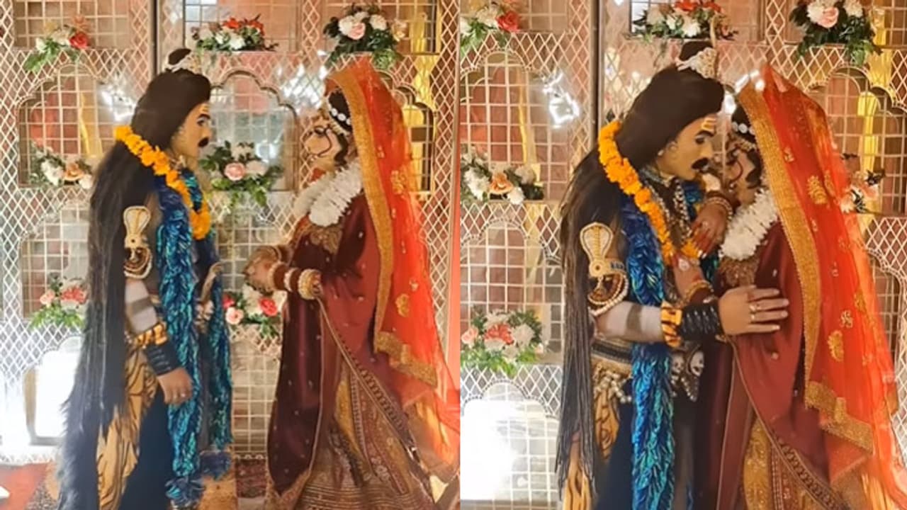 viral video viral video