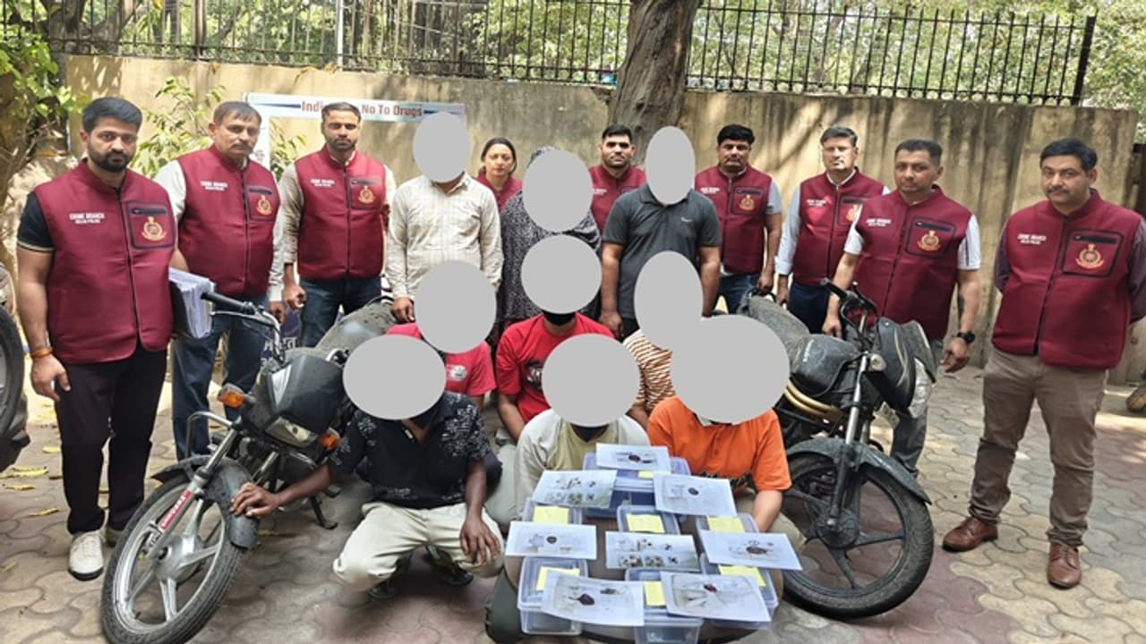 Delhi drug trafficking 