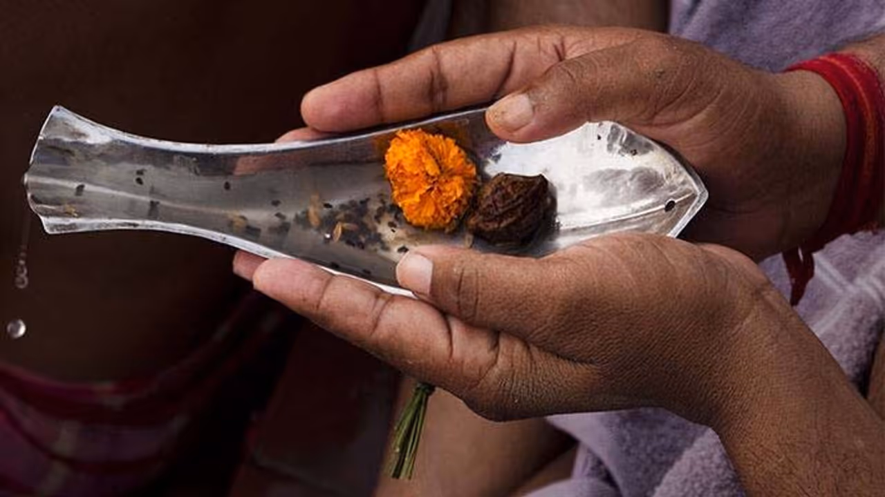 vaishkha amawasya 2025 vaishkha amawasya 2025