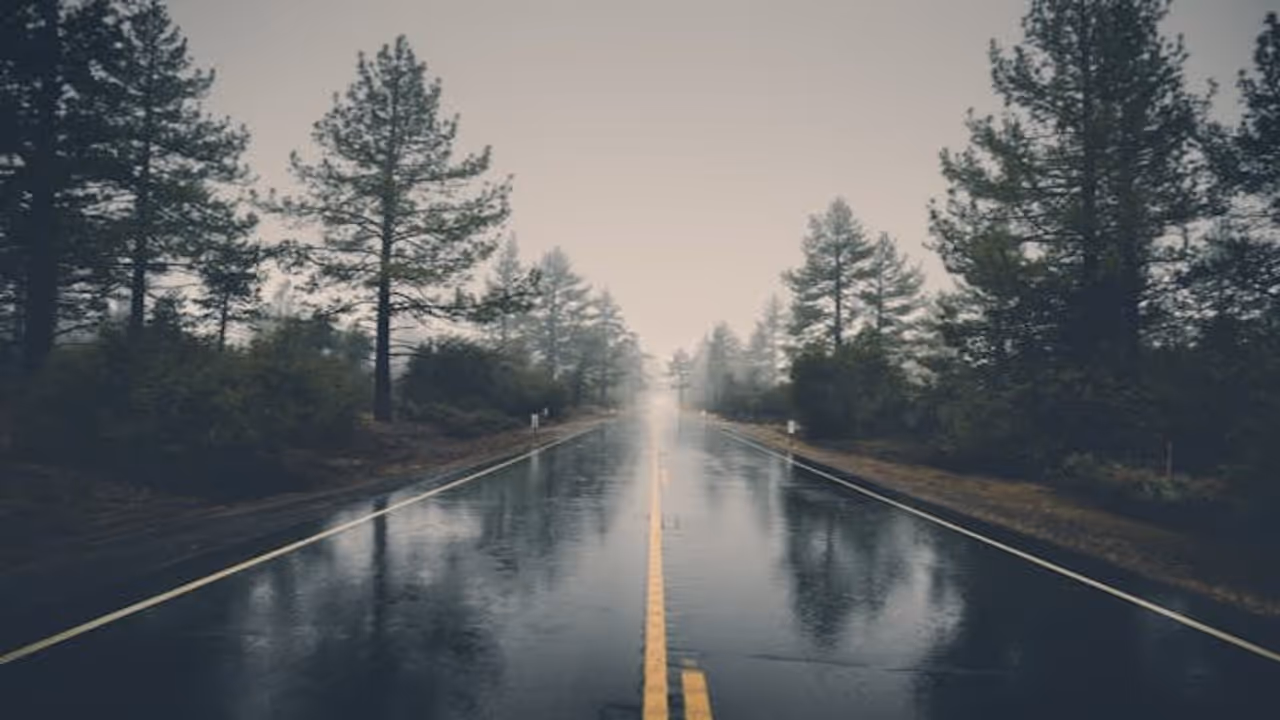 Rain Forecast  mp