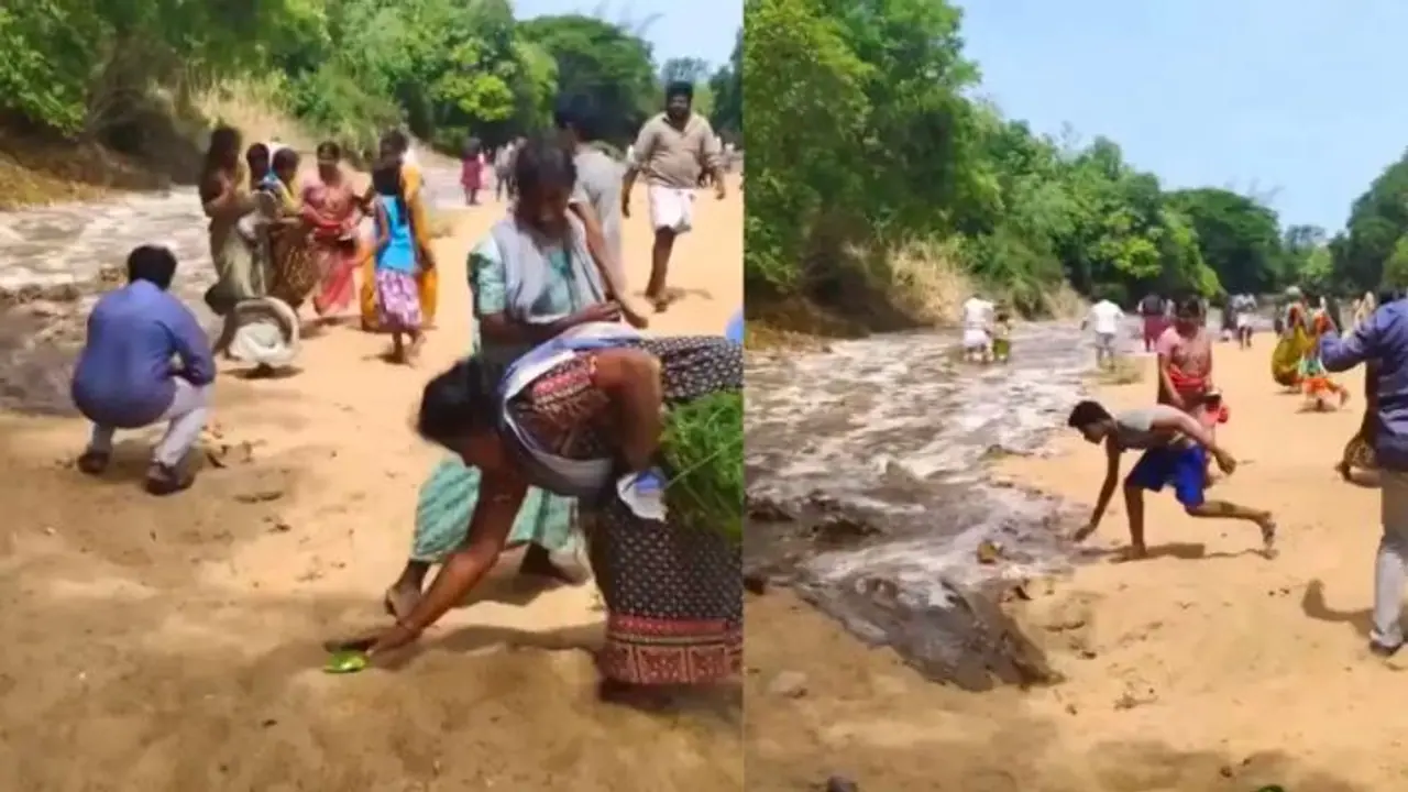 Cauvery Water