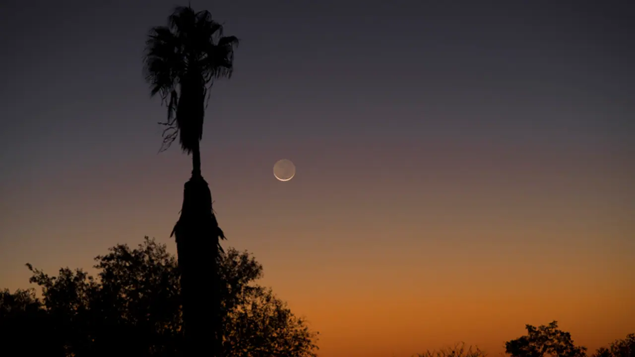 Poush Amavasya 2022 Poush Amavasya 2022