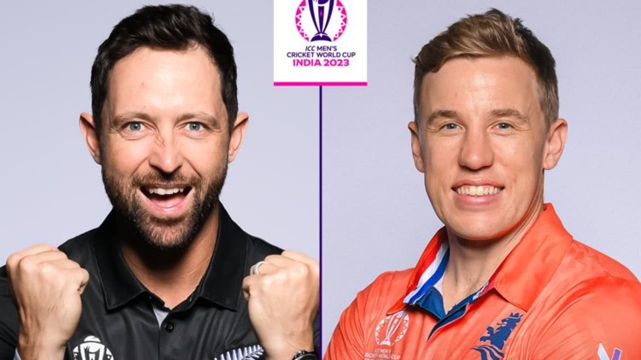 nz vs ned nz vs ned