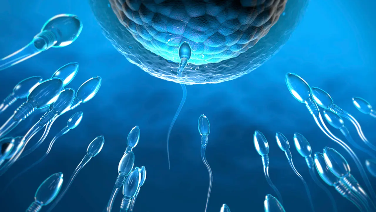 Male Infertility