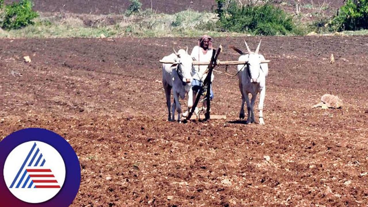 Agriculture Farmer 08 Agriculture Farmer 08
